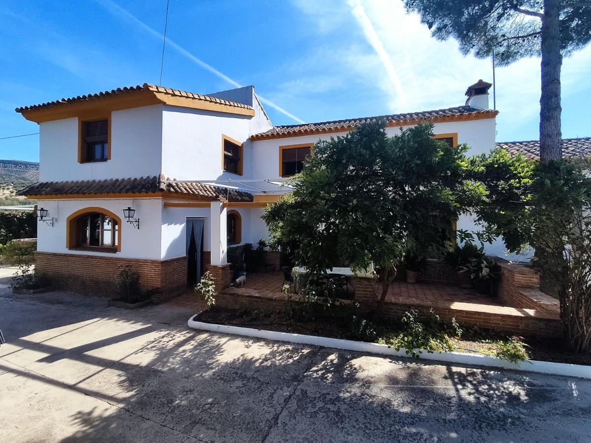 Paredejas Del Rey Priego de Córdoba Exteriér fotografie