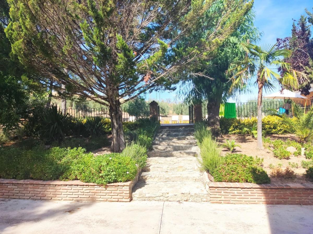Paredejas Del Rey Priego de Córdoba Exteriér fotografie