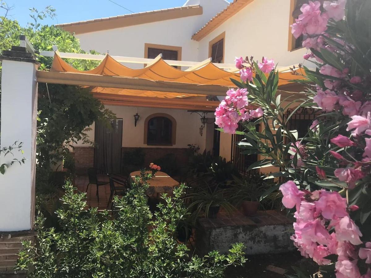 Paredejas Del Rey Priego de Córdoba Exteriér fotografie