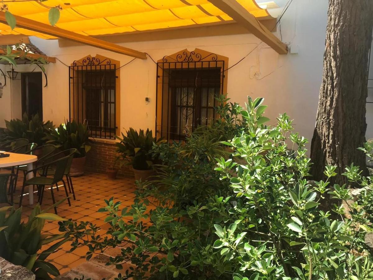 Paredejas Del Rey Priego de Córdoba Exteriér fotografie