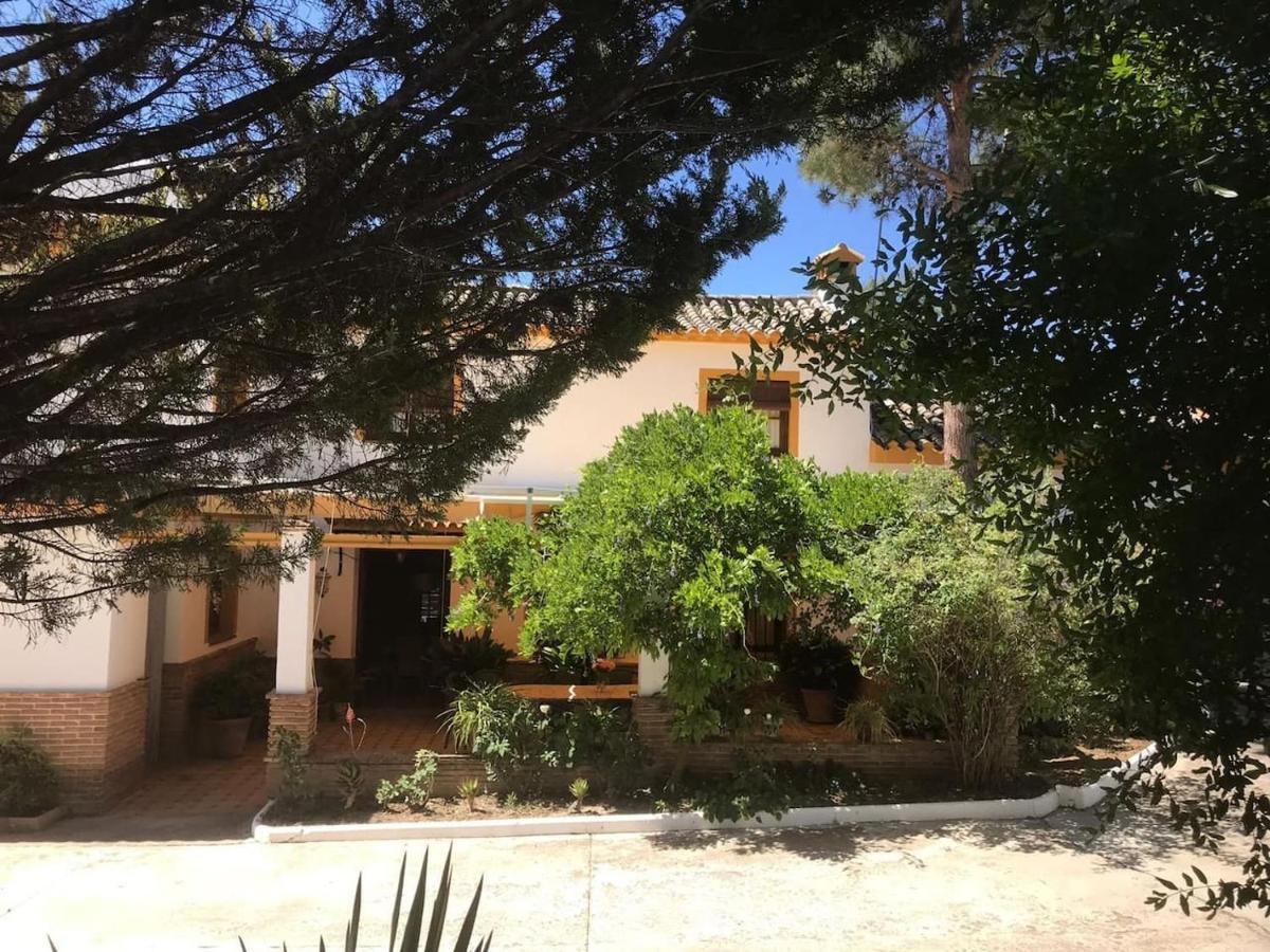 Paredejas Del Rey Priego de Córdoba Exteriér fotografie