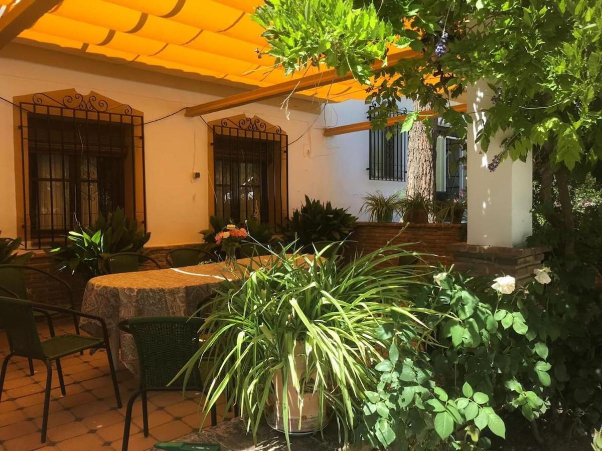 Paredejas Del Rey Priego de Córdoba Exteriér fotografie